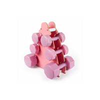 PSSPOR Pembe Dambıl Seti 3 Set - 1KG 2KG 3KG Dambıl + Stand - Ev Fitness Ekipmanı
