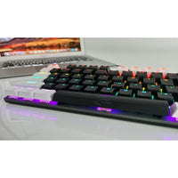 Terapio RGB Aydınlatmalı Mekanik Oyuncu Klavyesi - Tek Tuşla Işık Kontrolü ve Ergonomik Tasarım