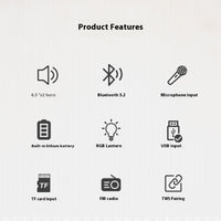Terapio Partybox Bluetooth Hoparlör 20W RGB Işıklı Karaoke Mikrofonlu TWS Speaker