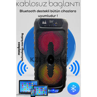 Terapio Bluetooth Parti Hoparlör RGB LED Mikrofon Kablosuz Type-C Şarj USB FM Destekli
